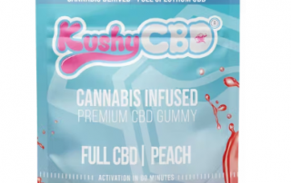 CBD Gummies